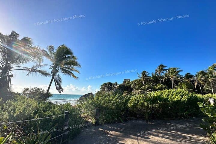 Coba and Tulum Private Mayan Ruins Tour — Certified Guide & Authentic Lunch photo 5