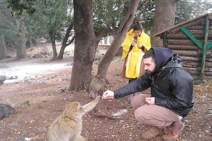Day Trip to Morocco's Middle Atlas: Fez to Ifrane, Azrou & Cedar Forests photo 2