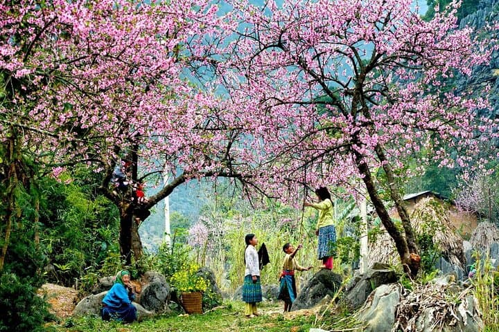 Sapa 2-Day Trek: Homestay in Ta Van and Muong Hoa Valley photo 4