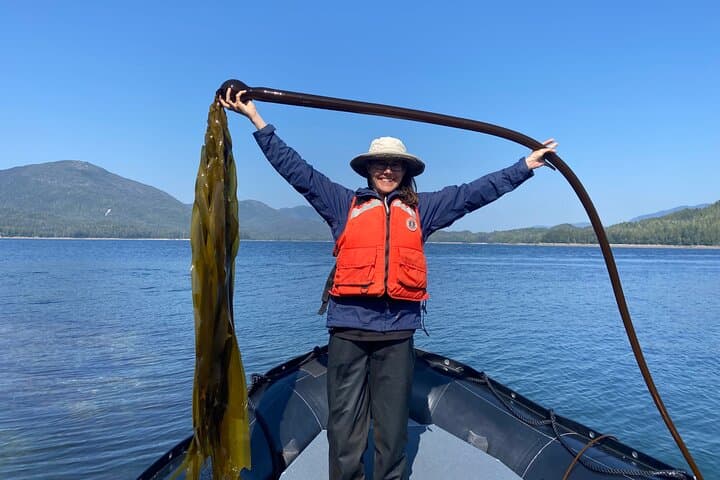 Exploring Alaska’s Ocean Wilderness: Zodiac Adventure from Ketchikan