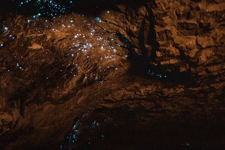 Private Hobbiton and Waitomo Glowworm Caves Day Trip from Auckland photo 4