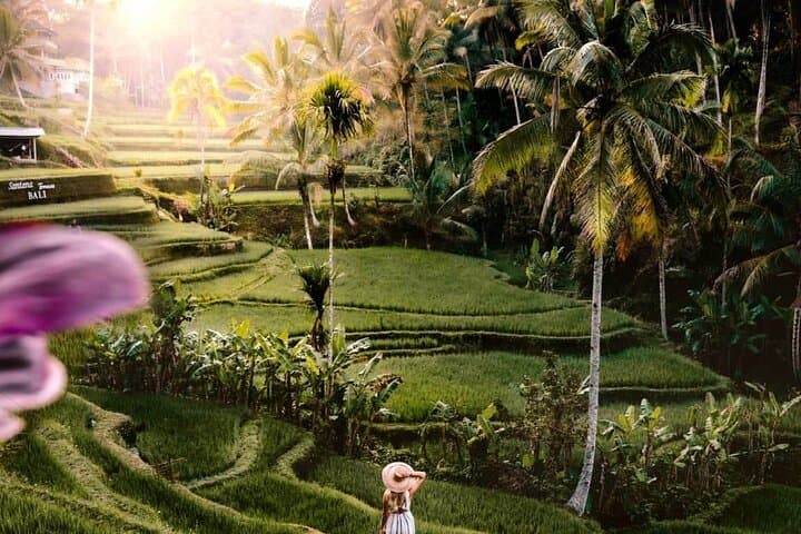 Ubud Day Tour: Monkey Forest, Tegallalang Rice Terraces & Tegenungan Waterfall photo 4