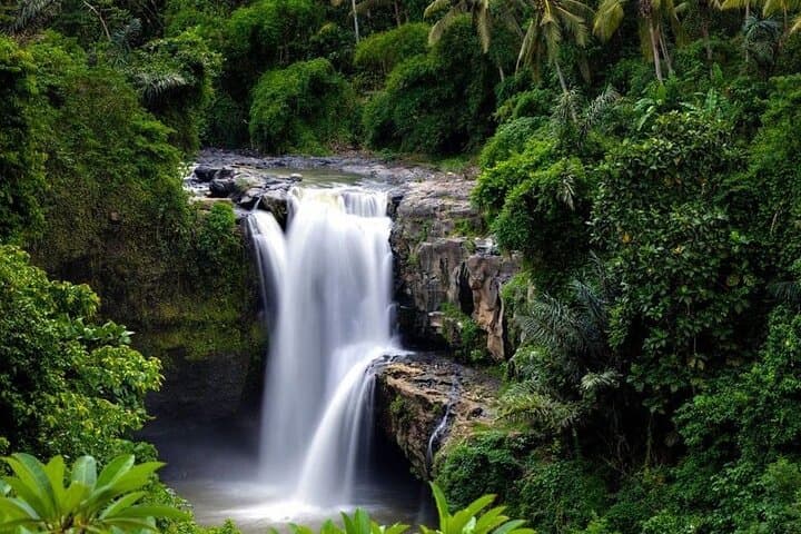 Ubud Jungle Swing, Monkey Forest & Tegenungan Waterfall Private Tour photo 6