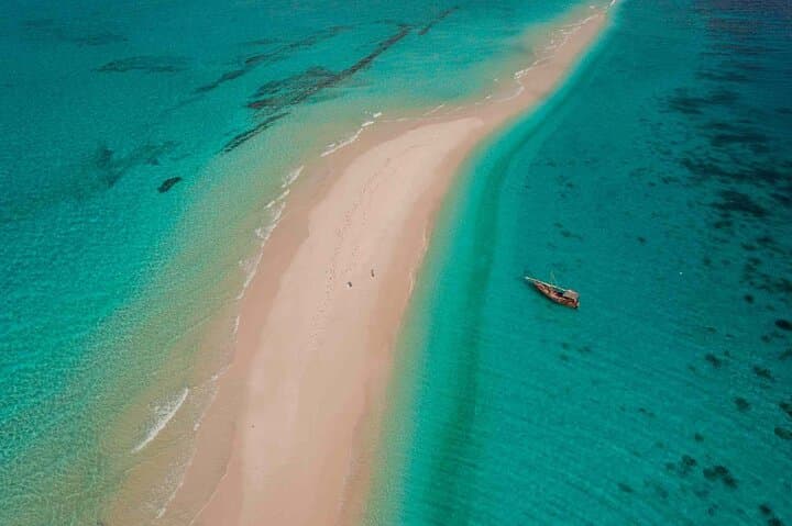 Mnemba Island Half‑Day Snorkel: Dolphins, Sandbanks & Mnemba Reef photo 4