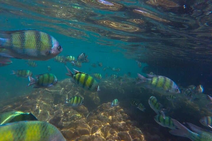 Phi Phi Longtail Boat Snorkeling Day Trip — Andaman Reef Adventure photo 2