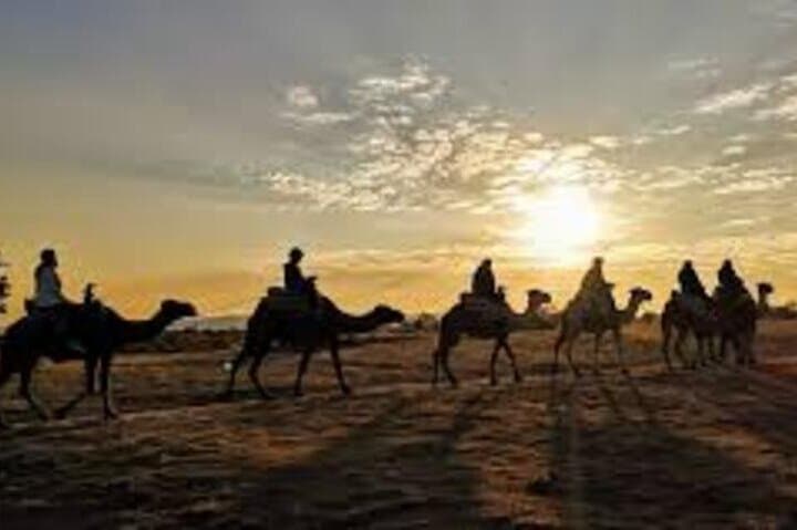 Cappadocia Camel Ride: Rose & Red Valley Experience Near Göreme