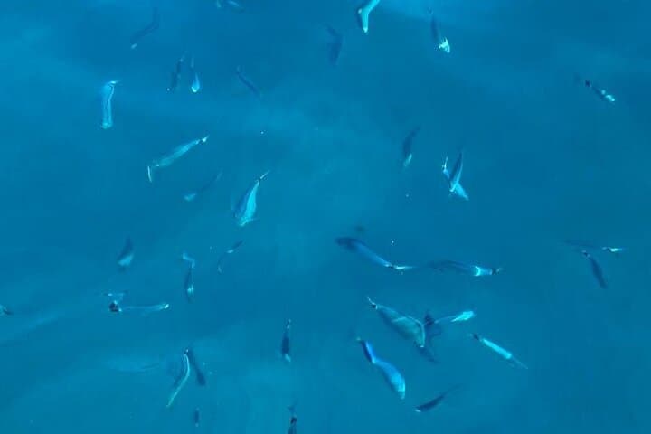 Private Sunset Cruise Cinque Terre: Swim Stop & Prosecco from Monterosso photo 4