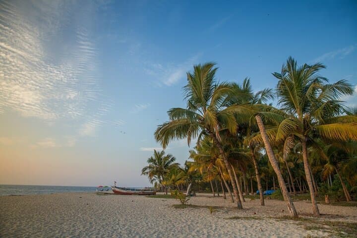 9-Day Private Kerala Tour: Backwaters, Tea Hills & Wildlife photo 2