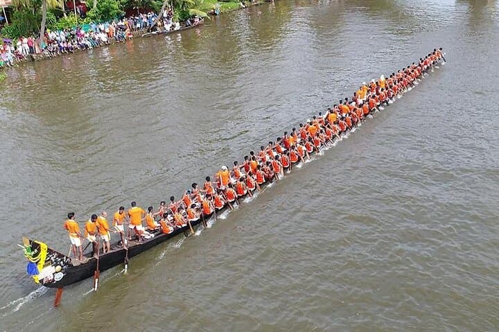 9-Day Private Kerala Tour: Backwaters, Tea Hills & Wildlife photo 5