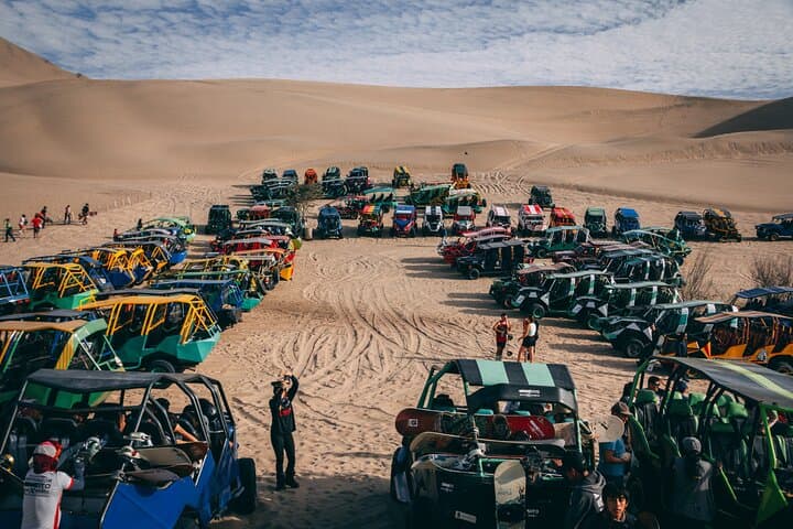 Paracas Ballestas Islands, Ica Winery & Huacachina Dune Buggy Day Trip from Lima photo 4