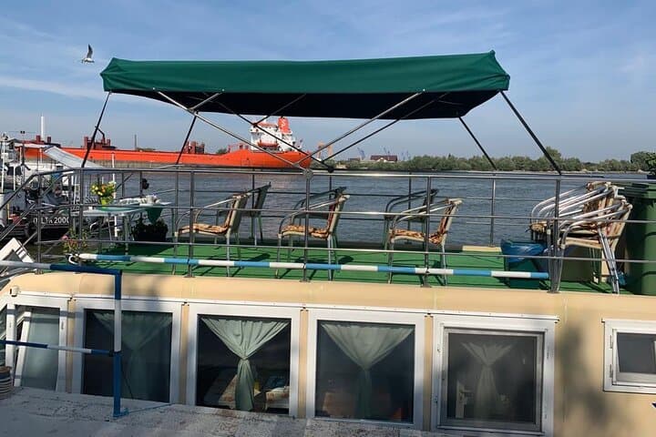 Danube Delta Day Cruise from Tulcea: Slow Boat to Marshes & Birdlife photo 2