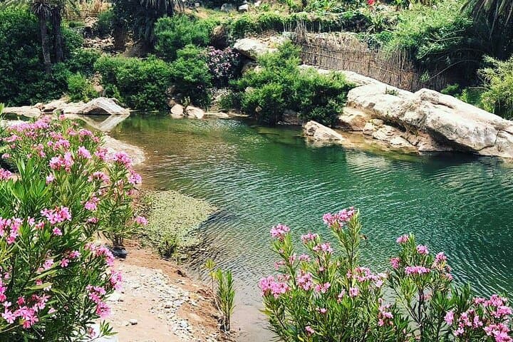 Paradise Valley Hike, Rock Pools & Berber Lunch near Agadir photo 3