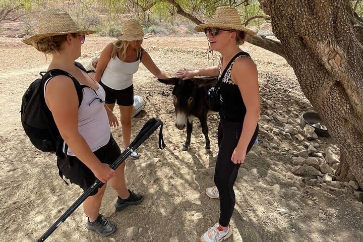 Paradise Valley Hike, Rock Pools & Berber Lunch near Agadir photo 6