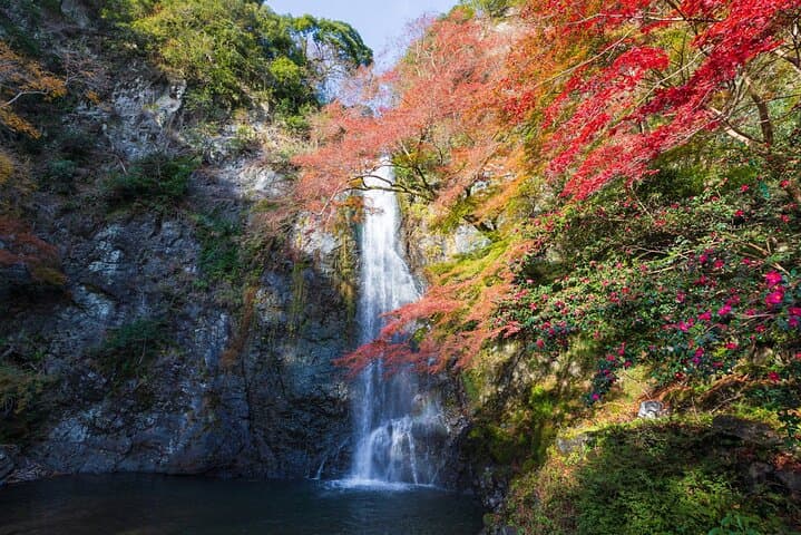 Minoo Park Nature Walk: Waterfall Hike Near Osaka (4‑Hour Guided Tour)