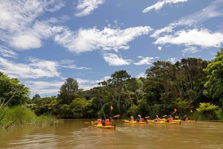 Clevedon Kayak Tour at Waitawa Regional Park & Hallertau Brewery Visit photo 3