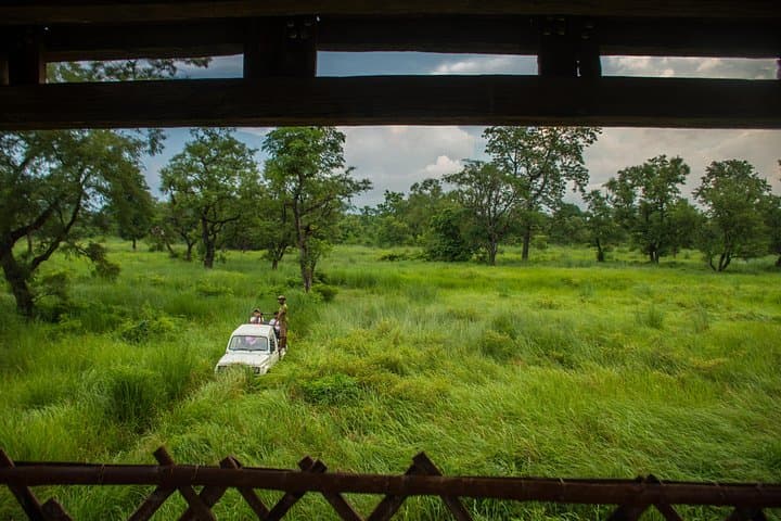 Overnight in a Machhan: Tree-House Wildlife Watch at Bardiya National Park photo 3