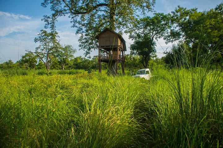Overnight in a Machhan: Tree-House Wildlife Watch at Bardiya National Park photo 4