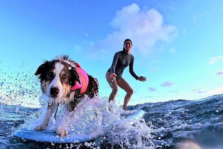 Private Oahu Surf Lesson — 1-on-1 Instruction with Photos & Videos photo 2