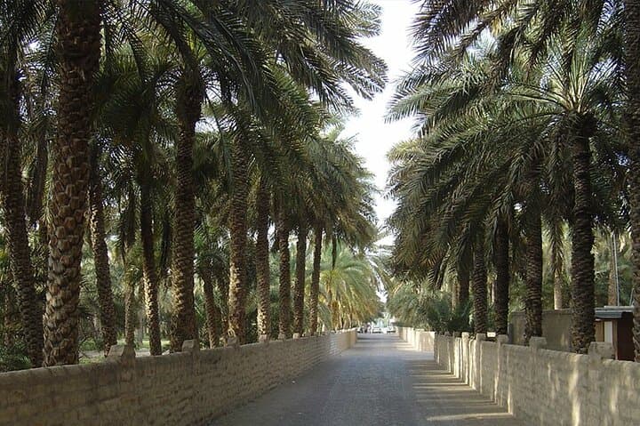 Al Ain Oasis Tour: UNESCO Oasis, Al Jahili Fort & Jebel Hafeet Day Trip from Dubai photo 3