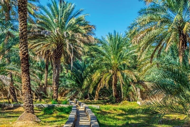 Al Ain Oasis Tour: UNESCO Oasis, Al Jahili Fort & Jebel Hafeet Day Trip from Dubai