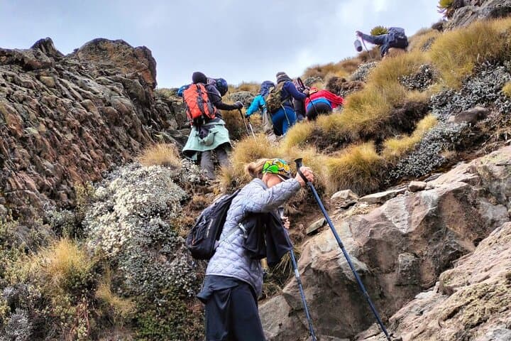 Chogoria–Sirimon Mt. Kenya: 6-Day Summit Trek to Point Lenana photo 5