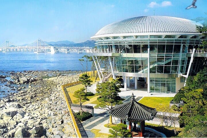Busan Private Custom Tour — Full-Day Tailor-Made Sightseeing with Pickup photo 6