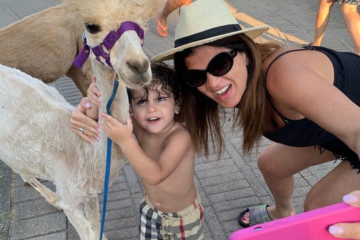 Alpacas at Sunset: Pizzo Beach Walks and Coastal Selfies on the Costa degli Dei photo 1