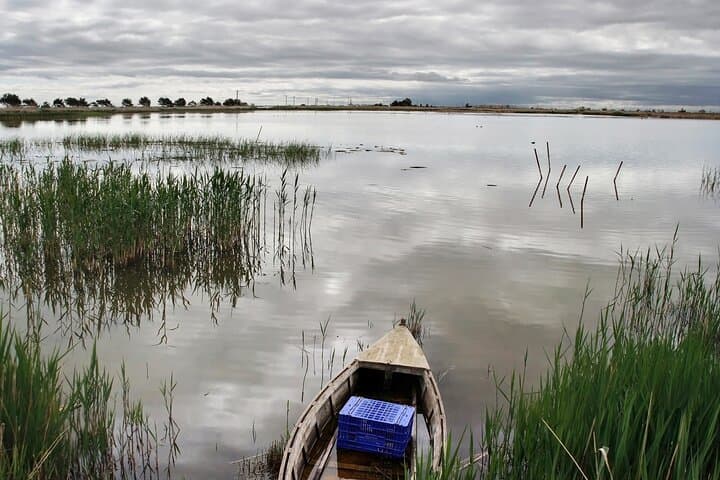 Birdwatching Les Olles & Fangar Bay — Ebro Delta Guided Walk