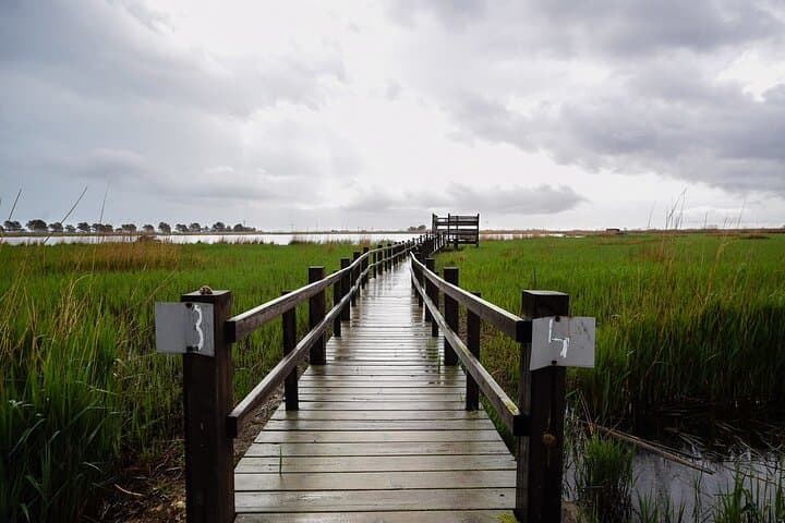 Birdwatching Les Olles & Fangar Bay — Ebro Delta Guided Walk photo 2