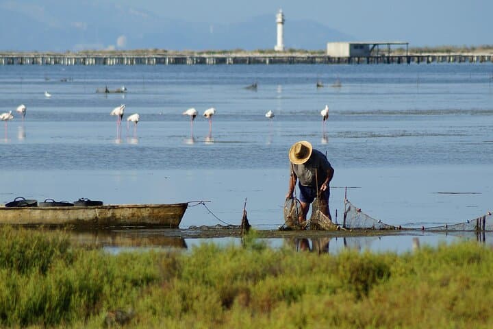 Birdwatching Les Olles & Fangar Bay — Ebro Delta Guided Walk photo 3