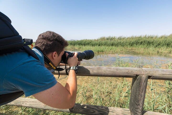 Birdwatching Les Olles & Fangar Bay — Ebro Delta Guided Walk photo 4