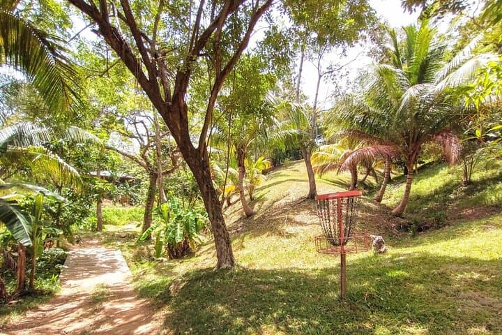 Roatán Jungle Disc Golf: 14-Hole Coastal Course with 19th-Hole Views photo 3
