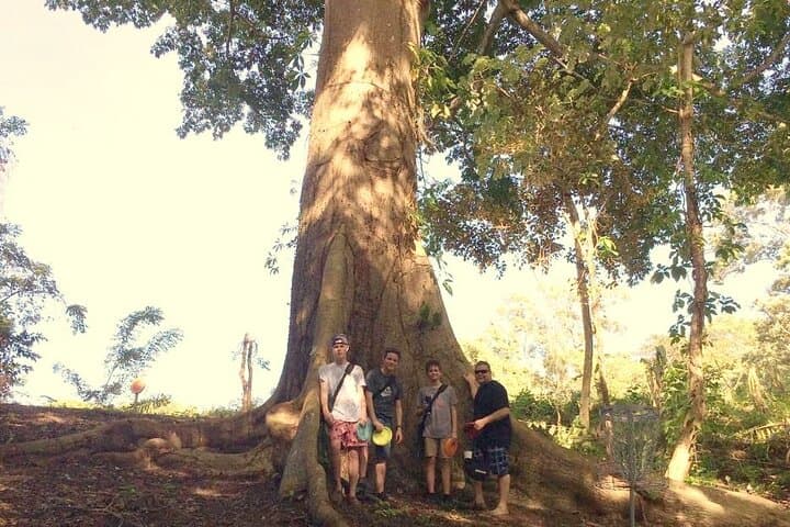 Roatán Jungle Disc Golf: 14-Hole Coastal Course with 19th-Hole Views photo 5