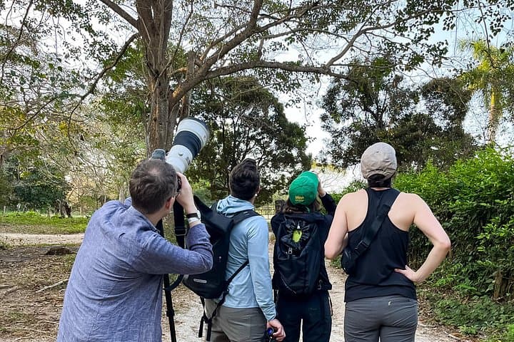 Birdwatching Near Cartagena: Private Nature Reserve Tropical Dry Forest Walk photo 2