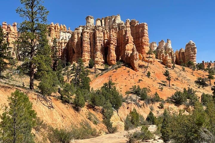 Full-Day Small Group Bryce Canyon Tour from Las Vegas — See the Hoodoos photo 4