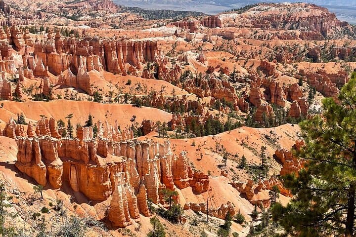 Full-Day Small Group Bryce Canyon Tour from Las Vegas — See the Hoodoos photo 5