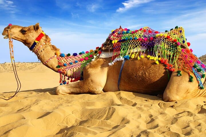 Private Day Trip to Pushkar from Jaipur: Dargah Sharif, Brahma Temple & Camel Ride photo 5