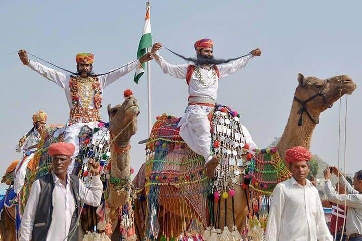 Private Day Trip to Pushkar from Jaipur: Dargah Sharif, Brahma Temple & Camel Ride