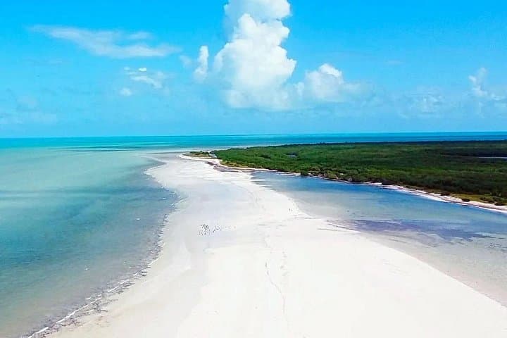 Day Trip to Holbox, Yalahau Cenote & Isla Pasion from Cancun photo 3