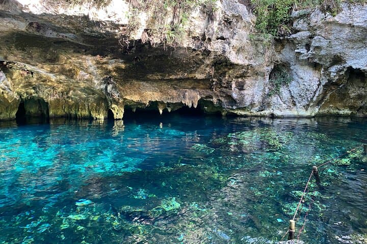 One-Day Chichén Itzá, Grand Cenote & Pink Lake from Cancún photo 4