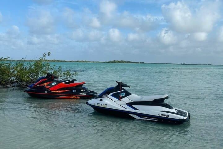 Guided Jet Ski Tour to Secret Beach & Sandbar from San Pedro, Belize photo 4