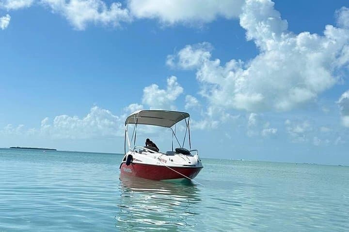 Jetboat to Secret Beach & Sandbar: 5-Hour San Pedro Lagoon Escape photo 2