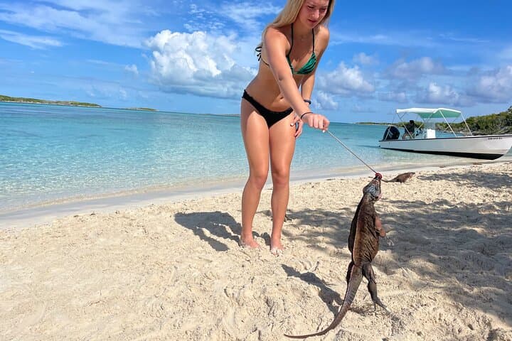 Private Exuma Cays Day Trip: Swim with Pigs, Sharks & Iguanas from Nassau photo 1