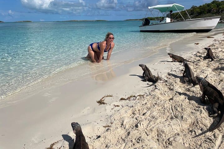 Private Exuma Cays Day Trip: Swim with Pigs, Sharks & Iguanas from Nassau photo 3
