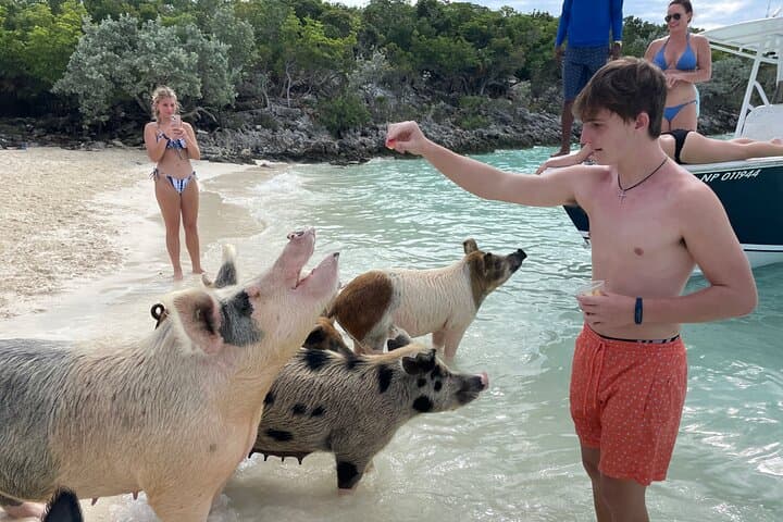 Private Exuma Cays Day Trip: Swim with Pigs, Sharks & Iguanas from Nassau photo 4