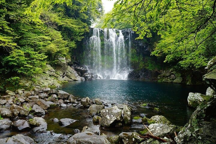 Jeju Island Full-Day Private Sightseeing Tour — Customize Your Day photo 5