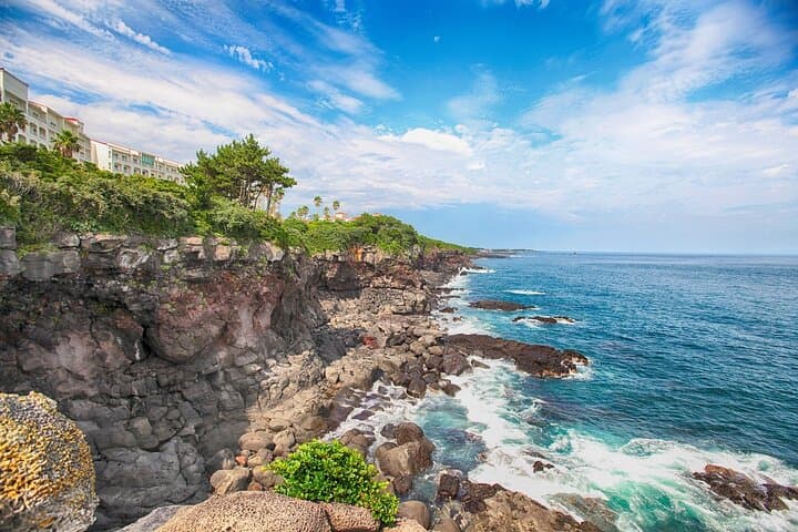 Jeju Island Full-Day Private Sightseeing Tour — Customize Your Day photo 6
