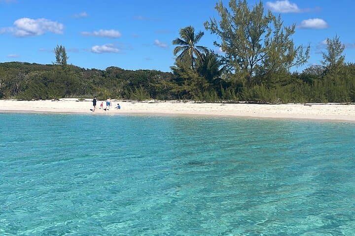 Private Eleuthera Day Trip: Swim with Pigs, Snorkel Turtles & Roam Pink Sand Beaches photo 3
