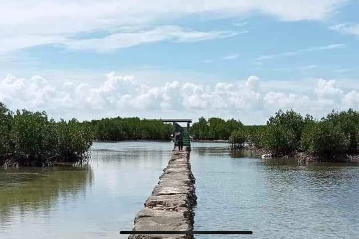 Olango Island Bird Watching and Snorkeling Day Trip from Cebu — Complete Day-Trip Guide photo 6