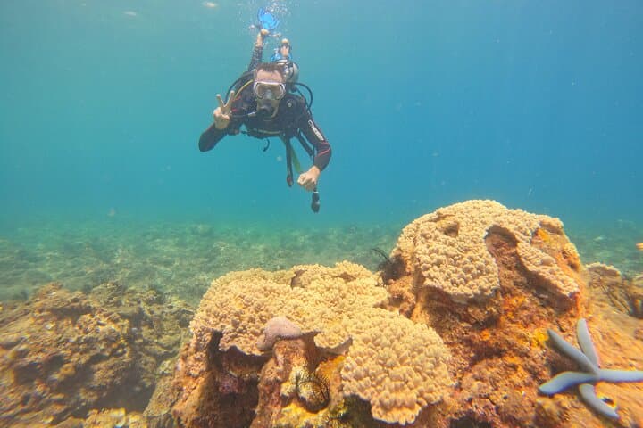 Nha Trang Island Hopping: Snorkel, Floating Bar & Beach Party Day Trip photo 2